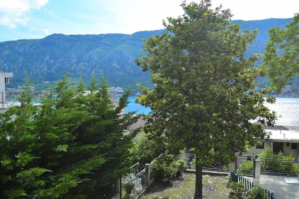 Apartamento Urban Escape For Two In Kotor Exterior foto